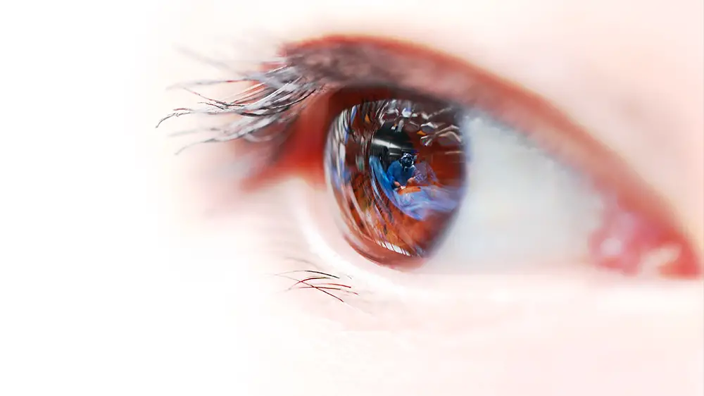 Συμμετοχή στον ετήσιο κύκλο μαθημάτων Οφθαλμοπλαστικής στο νοσοκομείο ΓΝΑ «Γ. Γεννηματάς»